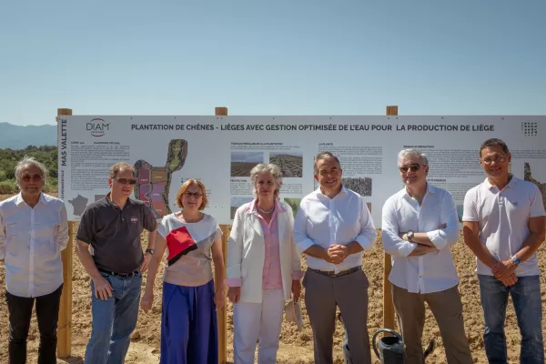 Plantation Mas valette invités institutionnels 